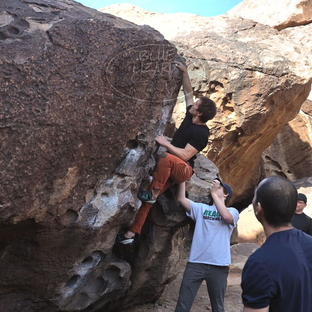 

Filename: SRM_20230224_0917110.jpg
Aperture: f/8.0
Shutter Speed: 1/320
Body: Canon EOS R6
Lens: Canon EF 16-35mm f/2.8 L