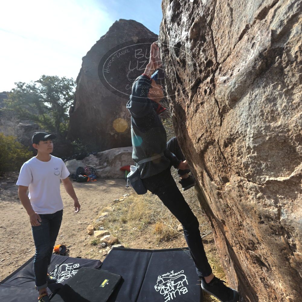 

Filename: SRM_20230224_0920010.jpg
Aperture: f/8.0
Shutter Speed: 1/320
Body: Canon EOS R6
Lens: Canon EF 16-35mm f/2.8 L