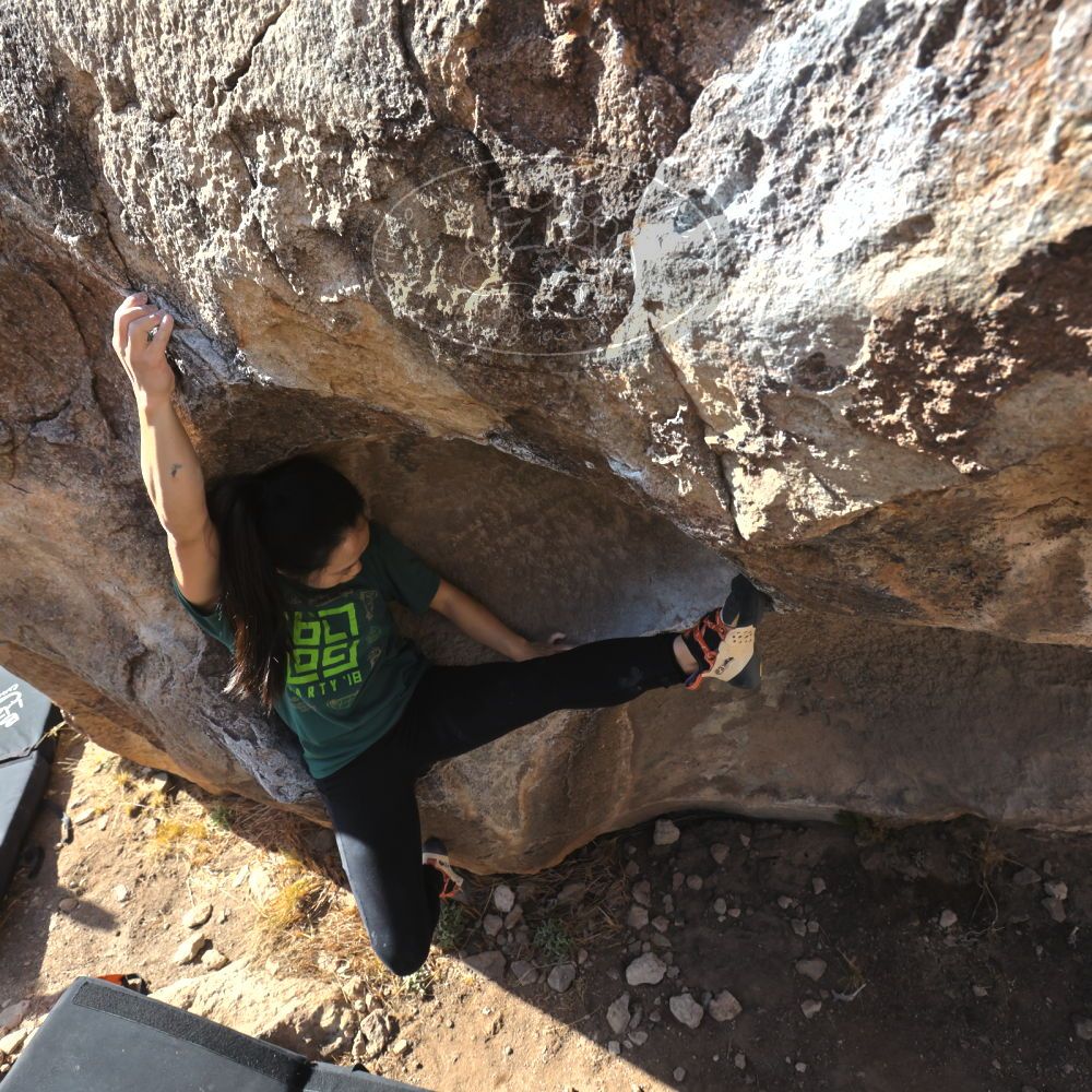 

Filename: SRM_20230224_0932010.jpg
Aperture: f/8.0
Shutter Speed: 1/320
Body: Canon EOS R6
Lens: Canon EF 16-35mm f/2.8 L