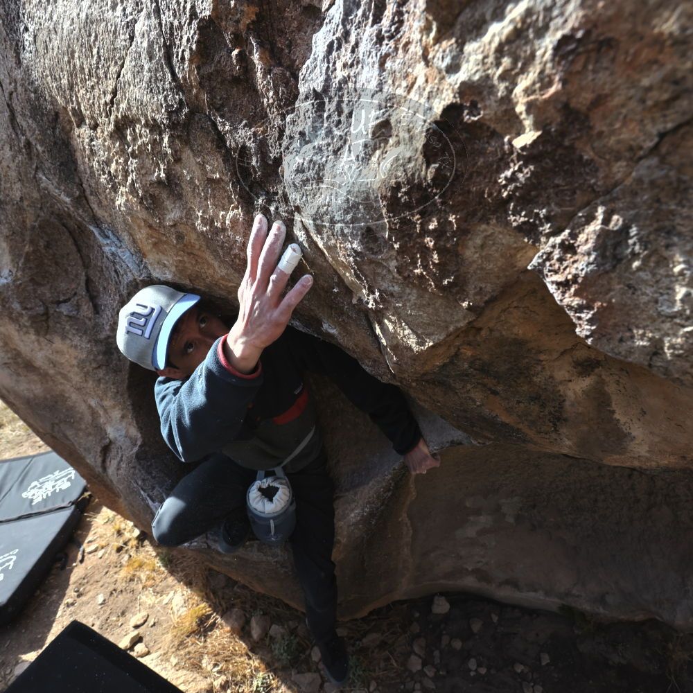 

Filename: SRM_20230224_0938240.jpg
Aperture: f/8.0
Shutter Speed: 1/320
Body: Canon EOS R6
Lens: Canon EF 16-35mm f/2.8 L