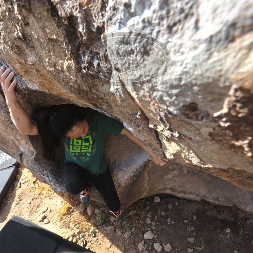 

Filename: SRM_20230224_0940240.jpg
Aperture: f/8.0
Shutter Speed: 1/320
Body: Canon EOS R6
Lens: Canon EF 16-35mm f/2.8 L