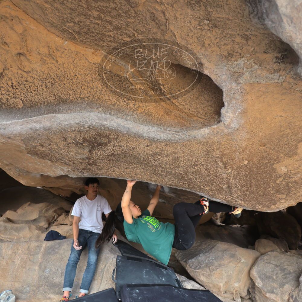 

Filename: SRM_20230224_1235380.jpg
Aperture: f/4.0
Shutter Speed: 1/400
Body: Canon EOS R6
Lens: Canon EF 16-35mm f/2.8 L