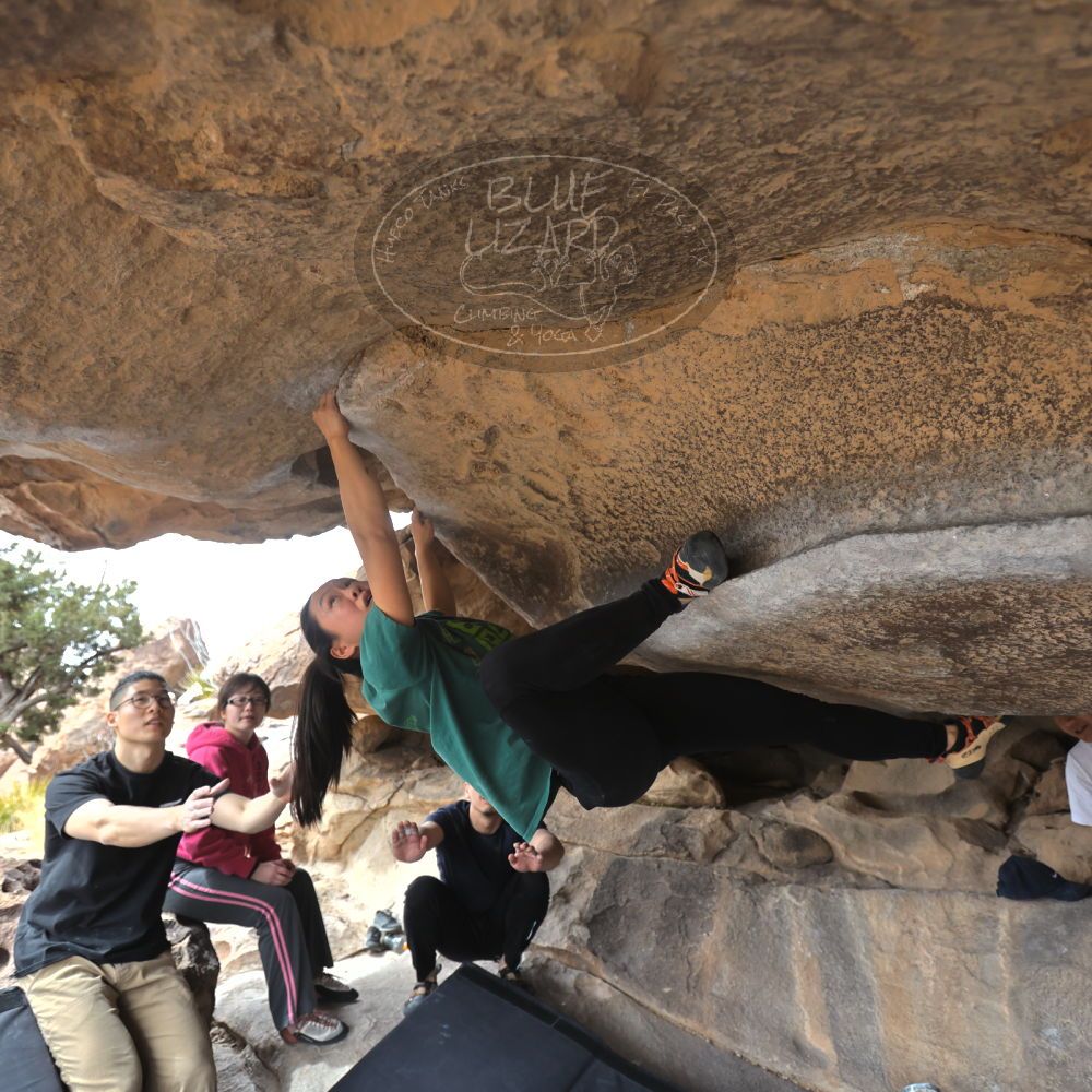 

Filename: SRM_20230224_1236090.jpg
Aperture: f/4.0
Shutter Speed: 1/400
Body: Canon EOS R6
Lens: Canon EF 16-35mm f/2.8 L