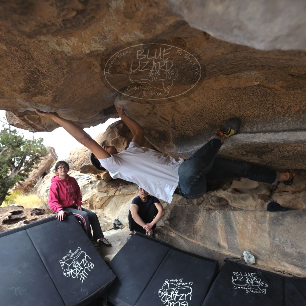 

Filename: SRM_20230224_1237430.jpg
Aperture: f/4.0
Shutter Speed: 1/400
Body: Canon EOS R6
Lens: Canon EF 16-35mm f/2.8 L