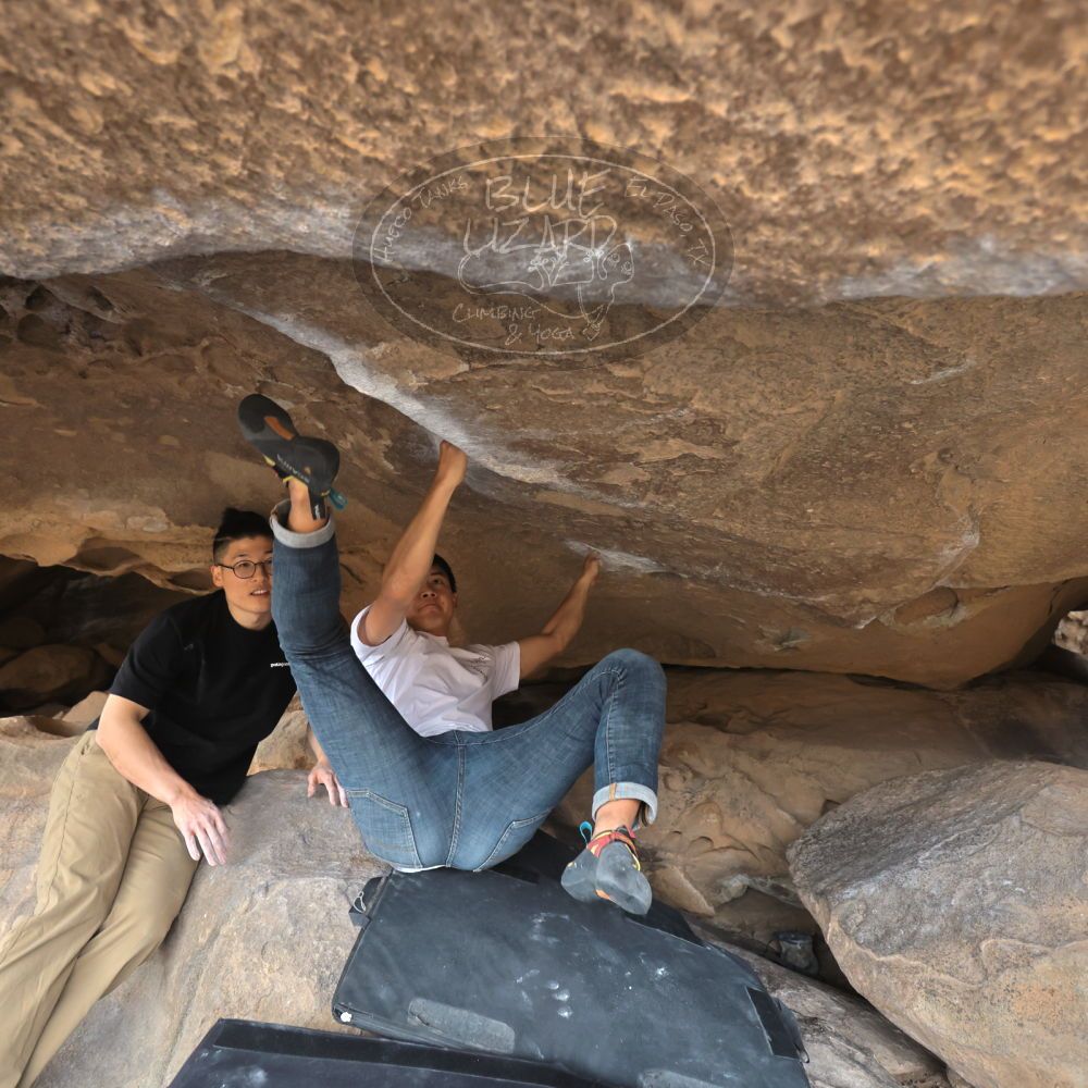 

Filename: SRM_20230224_1244273.jpg
Aperture: f/4.0
Shutter Speed: 1/400
Body: Canon EOS R6
Lens: Canon EF 16-35mm f/2.8 L