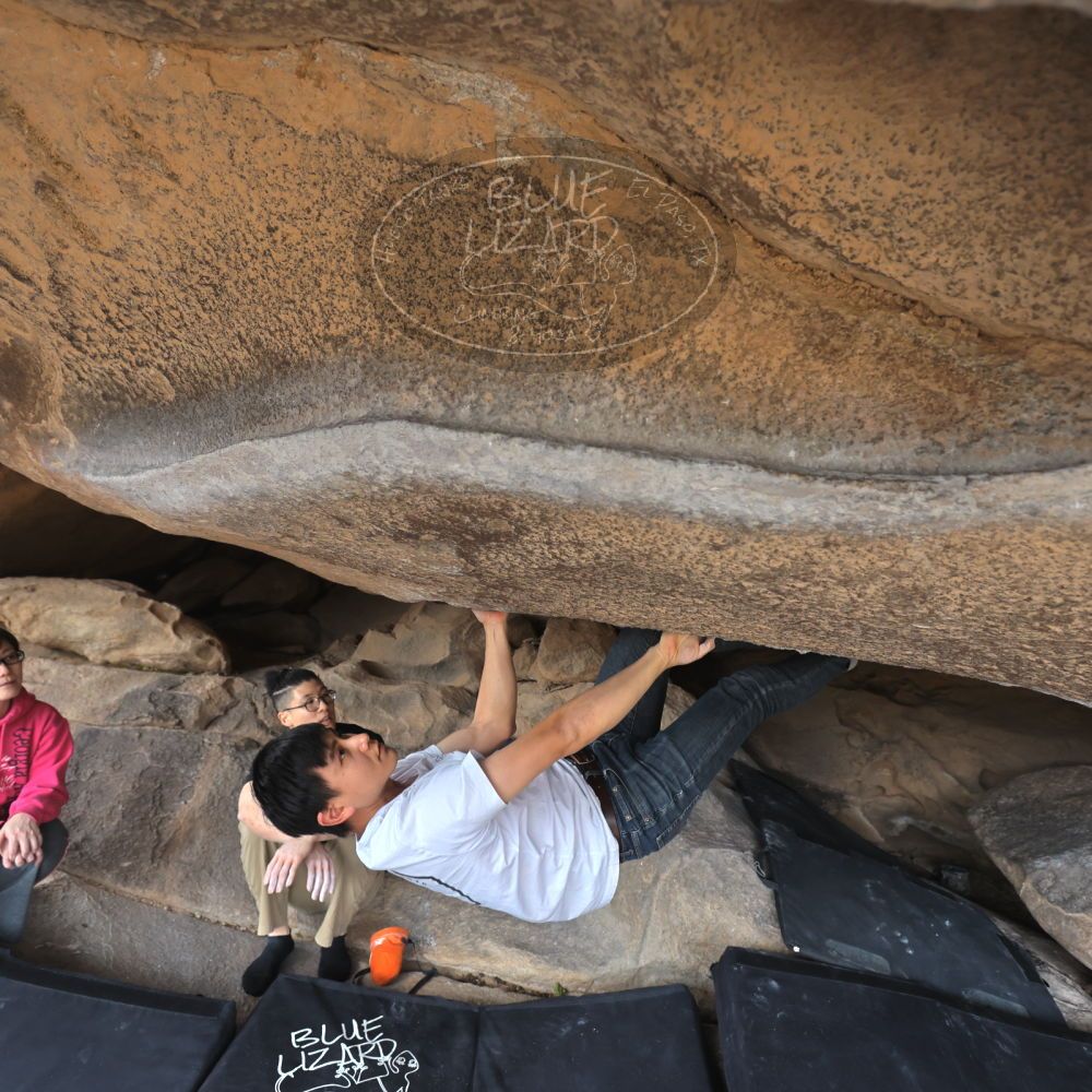 

Filename: SRM_20230224_1244450.jpg
Aperture: f/4.0
Shutter Speed: 1/400
Body: Canon EOS R6
Lens: Canon EF 16-35mm f/2.8 L