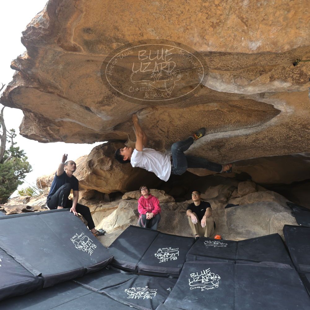 

Filename: SRM_20230224_1245020.jpg
Aperture: f/4.0
Shutter Speed: 1/400
Body: Canon EOS R6
Lens: Canon EF 16-35mm f/2.8 L