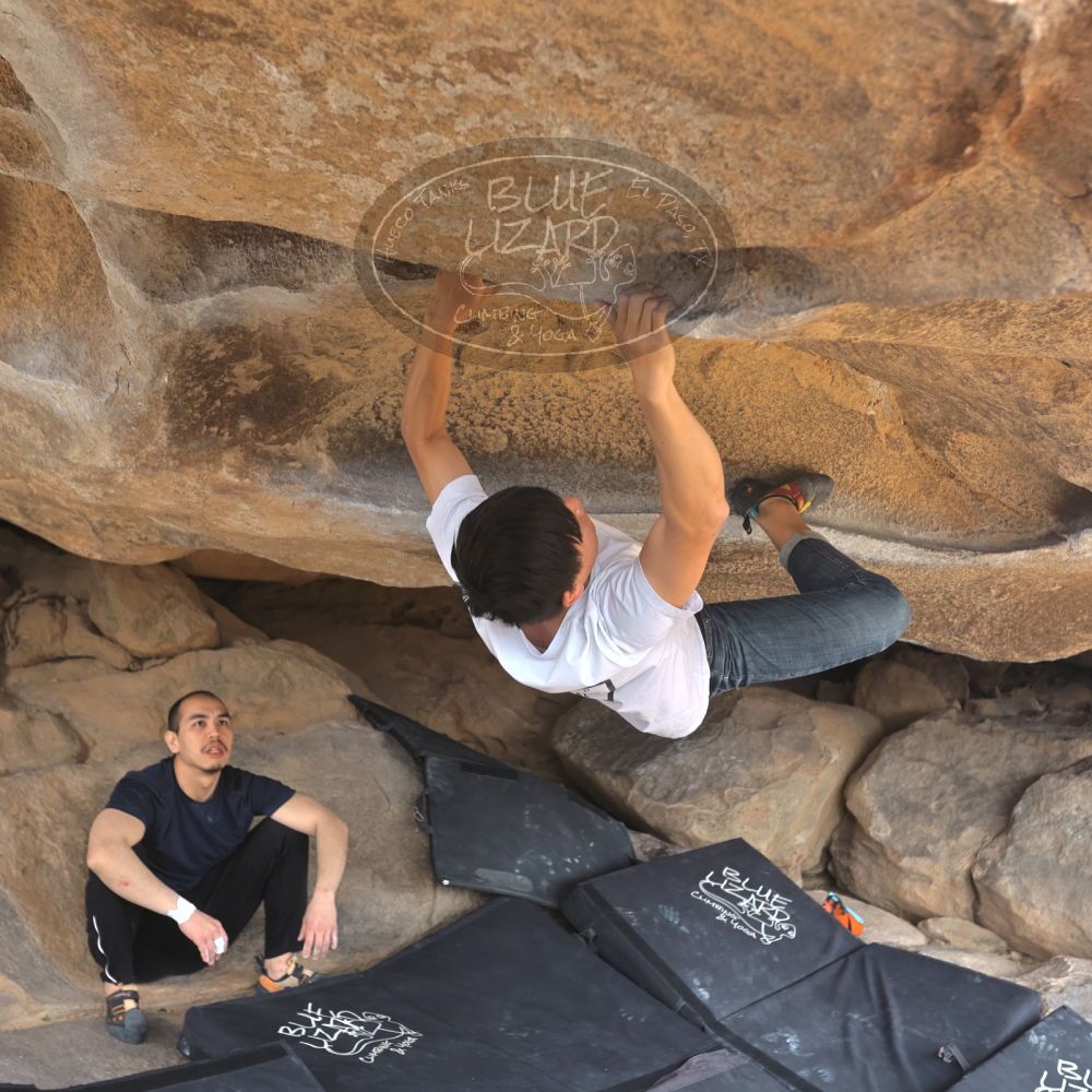 

Filename: SRM_20230224_1346181.jpg
Aperture: f/4.0
Shutter Speed: 1/250
Body: Canon EOS R6
Lens: Canon EF 16-35mm f/2.8 L