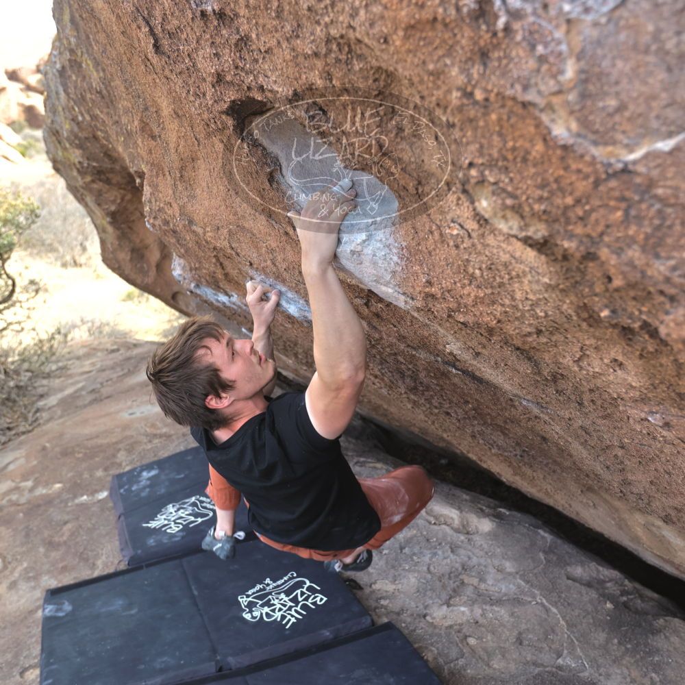 

Filename: SRM_20230224_1439261.jpg
Aperture: f/4.0
Shutter Speed: 1/250
Body: Canon EOS R6
Lens: Canon EF 16-35mm f/2.8 L