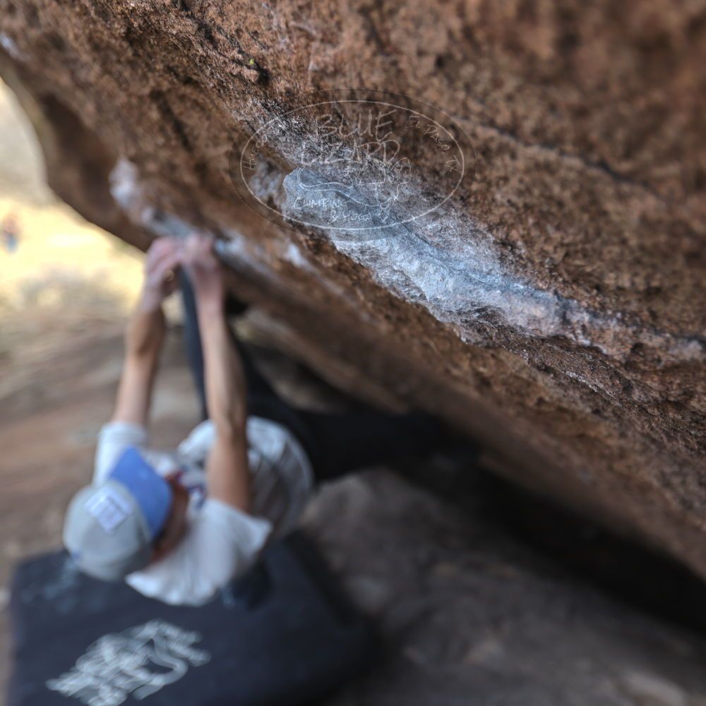 

Filename: SRM_20230224_1445510.jpg
Aperture: f/2.8
Shutter Speed: 1/320
Body: Canon EOS R6
Lens: Canon EF 16-35mm f/2.8 L