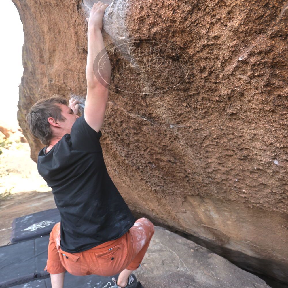 

Filename: SRM_20230224_1447301.jpg
Aperture: f/4.0
Shutter Speed: 1/320
Body: Canon EOS R6
Lens: Canon EF 16-35mm f/2.8 L