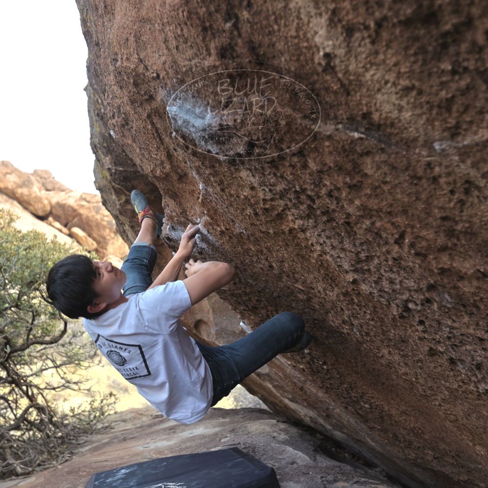 

Filename: SRM_20230224_1501060.jpg
Aperture: f/4.0
Shutter Speed: 1/320
Body: Canon EOS R6
Lens: Canon EF 16-35mm f/2.8 L