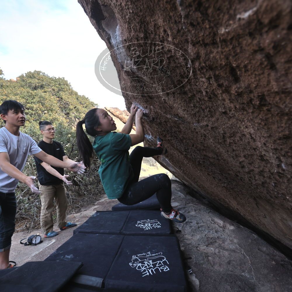 

Filename: SRM_20230224_1507462.jpg
Aperture: f/4.0
Shutter Speed: 1/320
Body: Canon EOS R6
Lens: Canon EF 16-35mm f/2.8 L