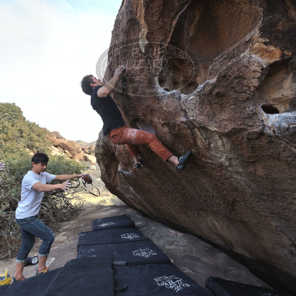 

Filename: SRM_20230224_1511380.jpg
Aperture: f/5.0
Shutter Speed: 1/320
Body: Canon EOS R6
Lens: Canon EF 16-35mm f/2.8 L