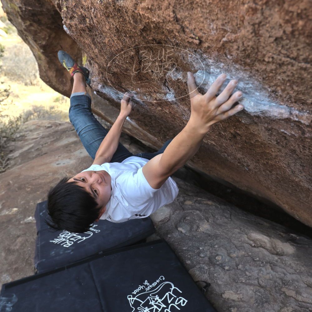 

Filename: SRM_20230224_1513111.jpg
Aperture: f/5.0
Shutter Speed: 1/320
Body: Canon EOS R6
Lens: Canon EF 16-35mm f/2.8 L