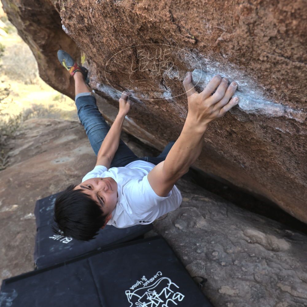 

Filename: SRM_20230224_1513112.jpg
Aperture: f/5.0
Shutter Speed: 1/320
Body: Canon EOS R6
Lens: Canon EF 16-35mm f/2.8 L