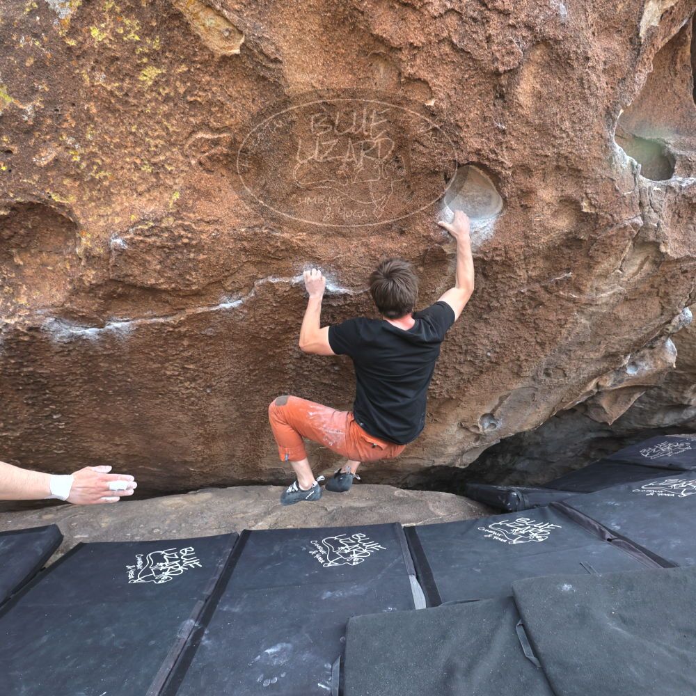 

Filename: SRM_20230224_1517051.jpg
Aperture: f/5.0
Shutter Speed: 1/320
Body: Canon EOS R6
Lens: Canon EF 16-35mm f/2.8 L