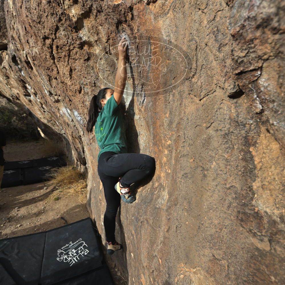 

Filename: SRM_20230224_1625340.jpg
Aperture: f/5.6
Shutter Speed: 1/320
Body: Canon EOS R6
Lens: Canon EF 16-35mm f/2.8 L