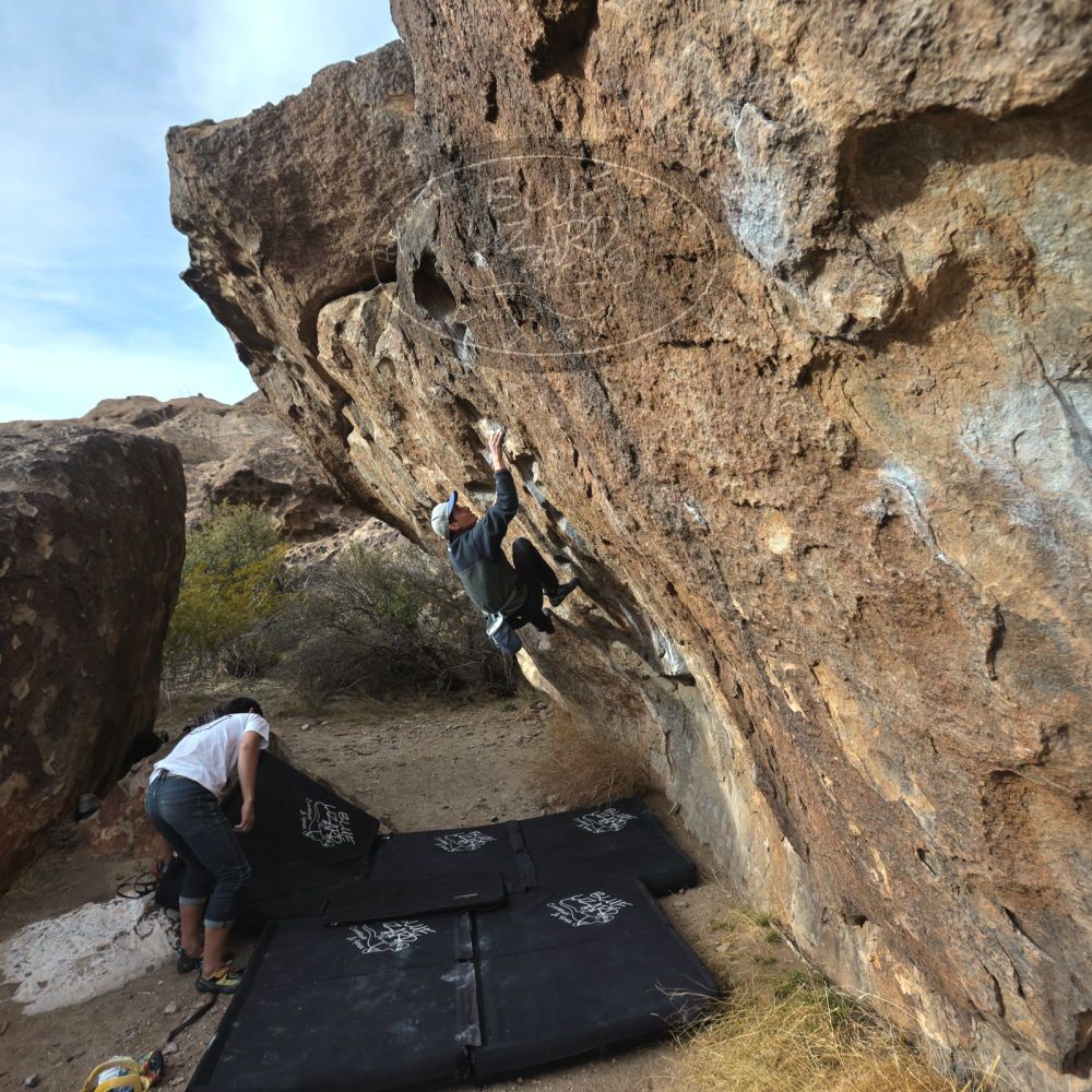 

Filename: SRM_20230224_1628490.jpg
Aperture: f/5.6
Shutter Speed: 1/320
Body: Canon EOS R6
Lens: Canon EF 16-35mm f/2.8 L