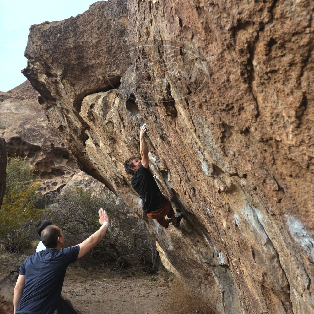 

Filename: SRM_20230224_1631260.jpg
Aperture: f/5.6
Shutter Speed: 1/320
Body: Canon EOS R6
Lens: Canon EF 16-35mm f/2.8 L