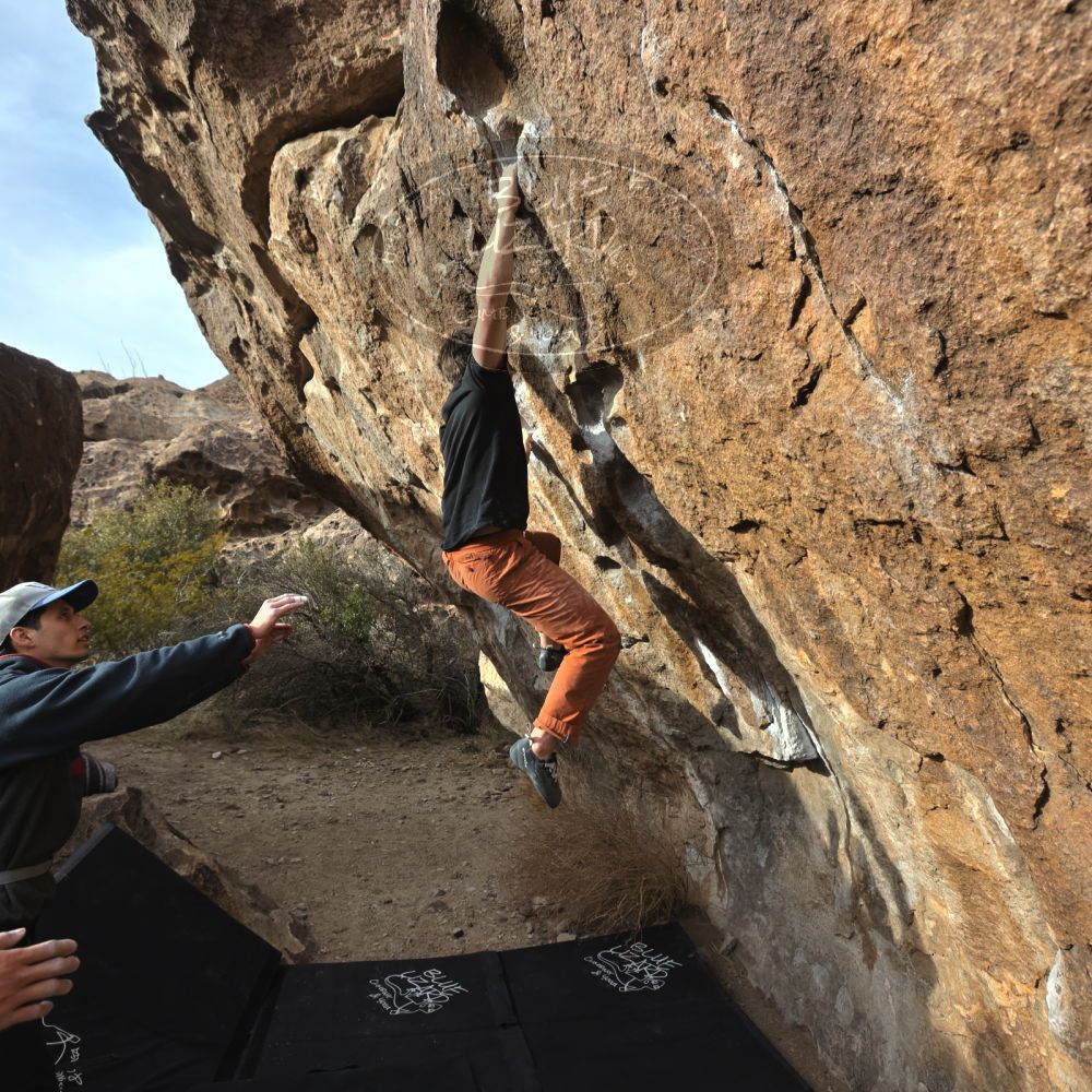 

Filename: SRM_20230224_1639472.jpg
Aperture: f/5.6
Shutter Speed: 1/320
Body: Canon EOS R6
Lens: Canon EF 16-35mm f/2.8 L