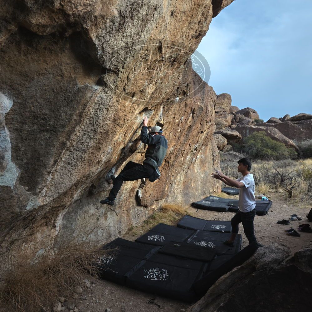 

Filename: SRM_20230224_1657081.jpg
Aperture: f/5.6
Shutter Speed: 1/320
Body: Canon EOS R6
Lens: Canon EF 16-35mm f/2.8 L