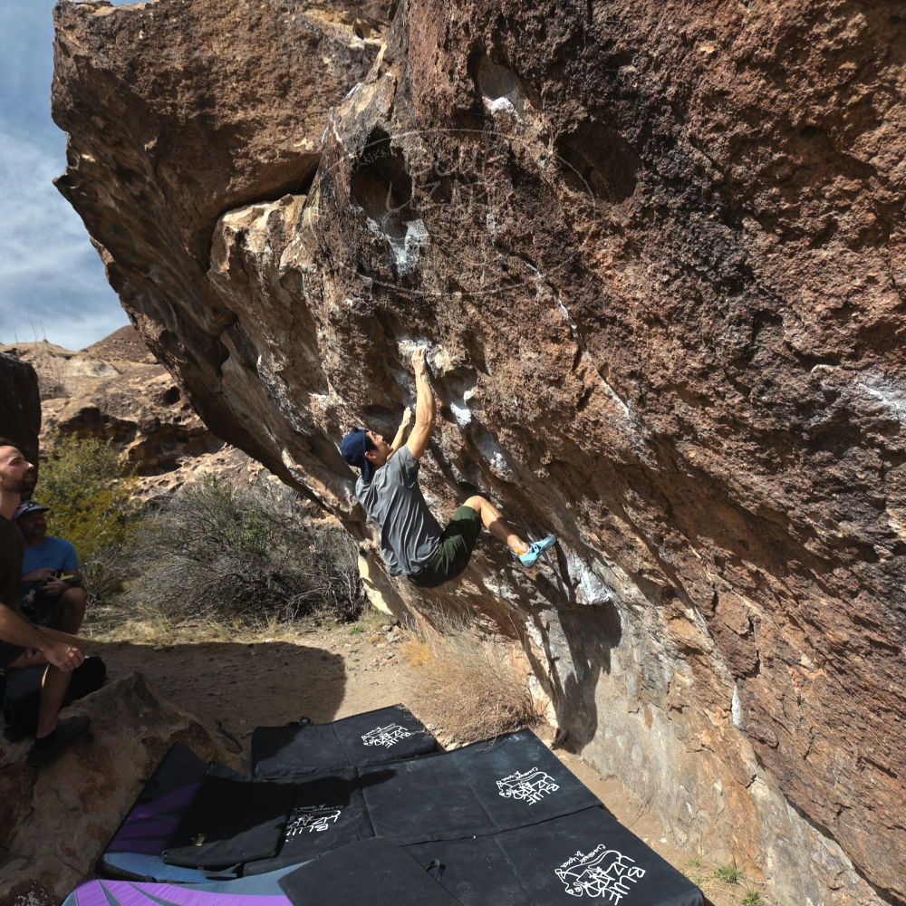 

Filename: SRM_20230305_1424240.jpg
Aperture: f/5.6
Shutter Speed: 1/500
Body: Canon EOS R6
Lens: Canon EF 16-35mm f/2.8 L