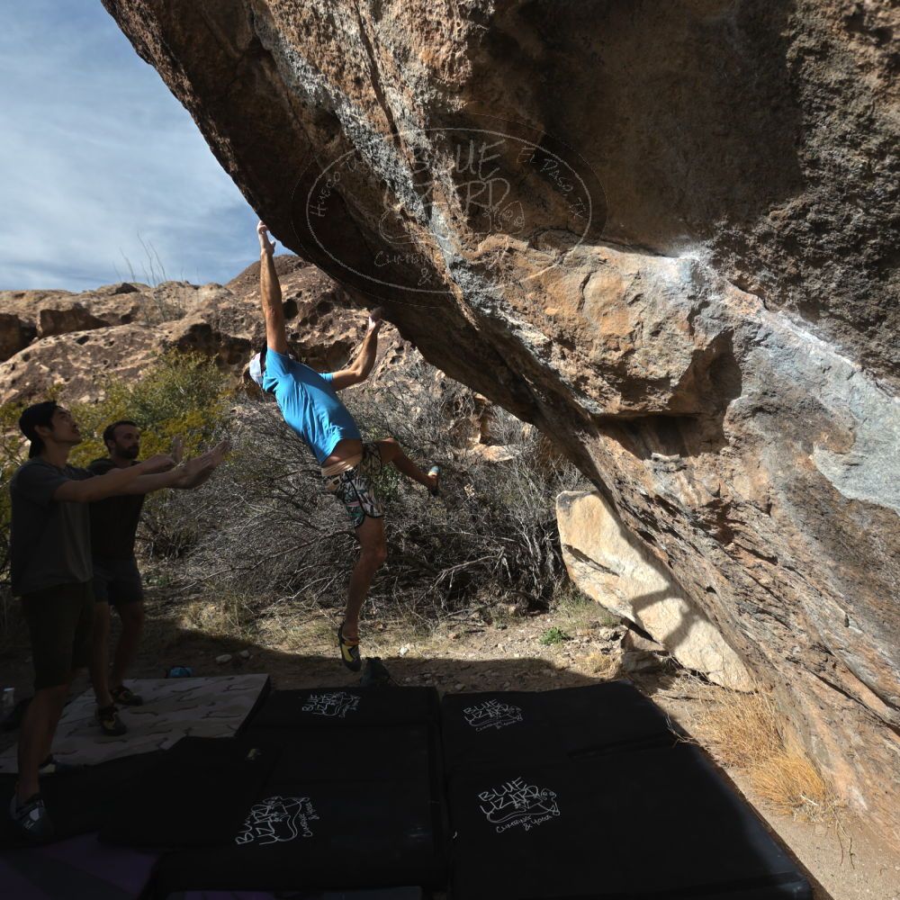 

Filename: SRM_20230305_1452192.jpg
Aperture: f/5.6
Shutter Speed: 1/500
Body: Canon EOS R6
Lens: Canon EF 16-35mm f/2.8 L