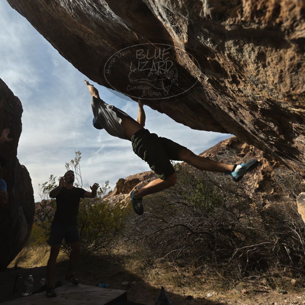 

Filename: SRM_20230305_1452540.jpg
Aperture: f/5.6
Shutter Speed: 1/500
Body: Canon EOS R6
Lens: Canon EF 16-35mm f/2.8 L