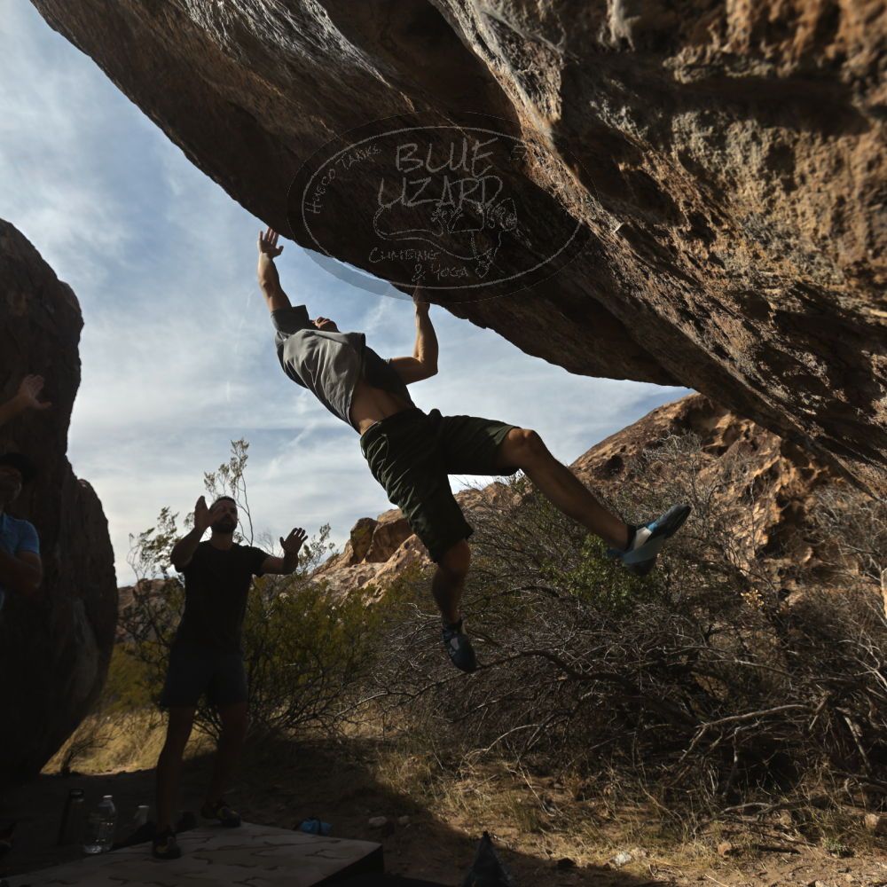 

Filename: SRM_20230305_1452541.jpg
Aperture: f/5.6
Shutter Speed: 1/500
Body: Canon EOS R6
Lens: Canon EF 16-35mm f/2.8 L