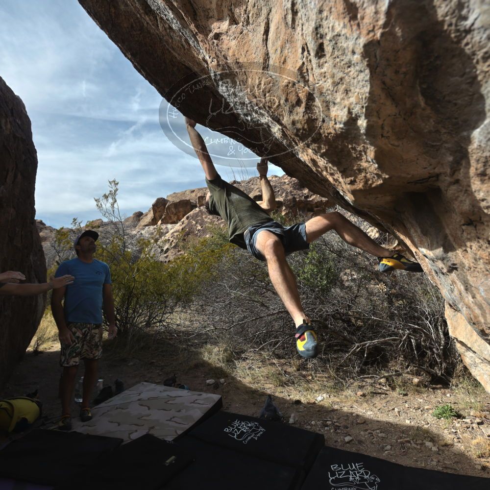 

Filename: SRM_20230305_1453570.jpg
Aperture: f/5.6
Shutter Speed: 1/500
Body: Canon EOS R6
Lens: Canon EF 16-35mm f/2.8 L