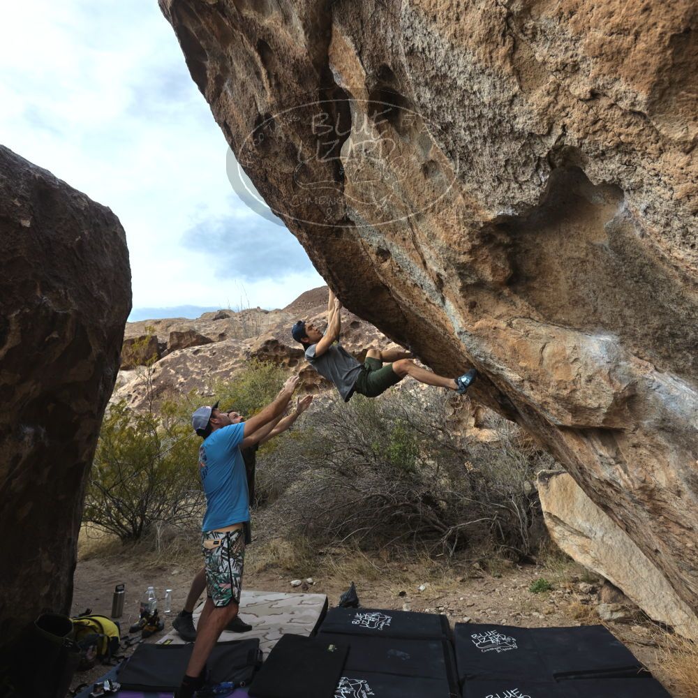 

Filename: SRM_20230305_1504250.jpg
Aperture: f/5.6
Shutter Speed: 1/500
Body: Canon EOS R6
Lens: Canon EF 16-35mm f/2.8 L