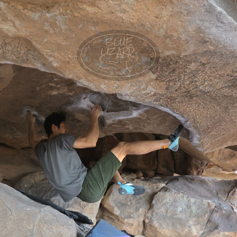 

Filename: SRM_20230305_1547000.jpg
Aperture: f/5.6
Shutter Speed: 1/500
Body: Canon EOS R6
Lens: Canon EF 16-35mm f/2.8 L