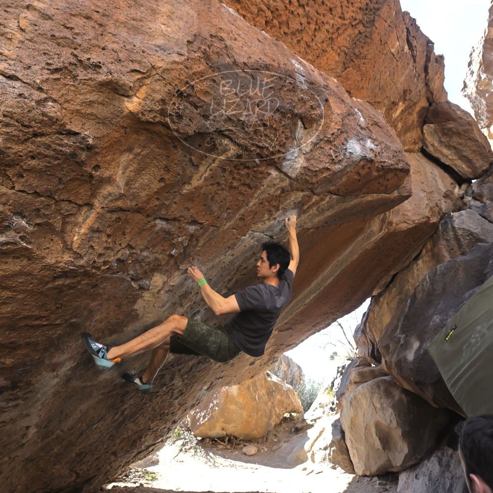 

Filename: SRM_20230306_1102000.jpg
Aperture: f/5.6
Shutter Speed: 1/320
Body: Canon EOS R6
Lens: Canon EF 16-35mm f/2.8 L