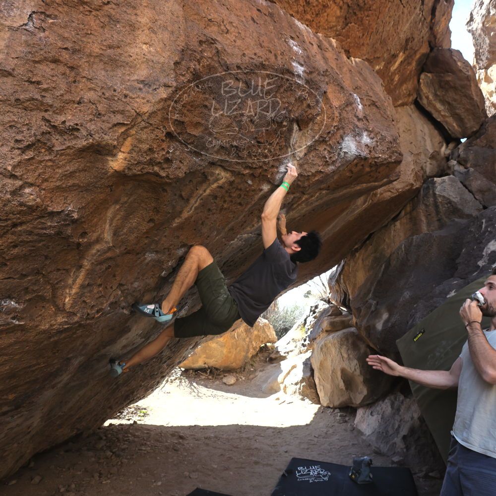 

Filename: SRM_20230306_1102040.jpg
Aperture: f/5.6
Shutter Speed: 1/320
Body: Canon EOS R6
Lens: Canon EF 16-35mm f/2.8 L