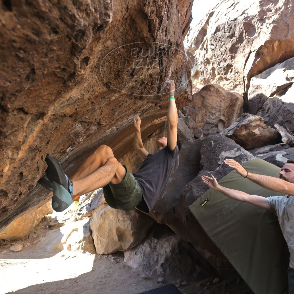 

Filename: SRM_20230306_1105350.jpg
Aperture: f/5.6
Shutter Speed: 1/320
Body: Canon EOS R6
Lens: Canon EF 16-35mm f/2.8 L