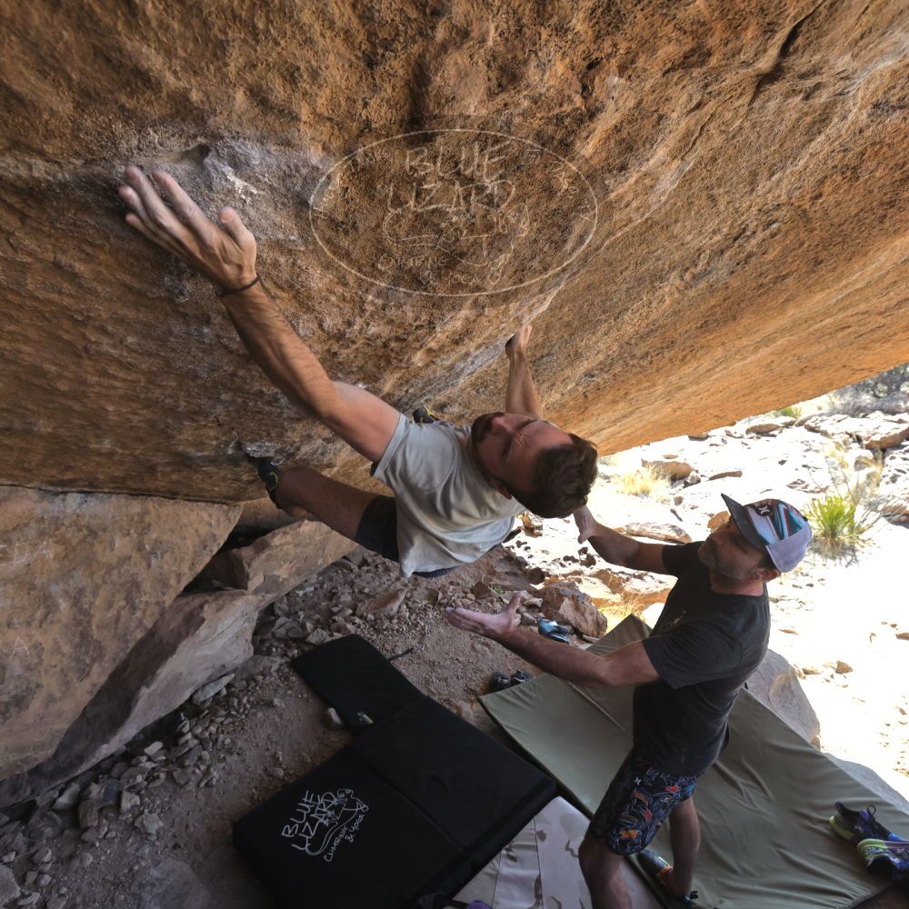 

Filename: SRM_20230306_1241300.jpg
Aperture: f/5.6
Shutter Speed: 1/500
Body: Canon EOS R6
Lens: Canon EF 16-35mm f/2.8 L