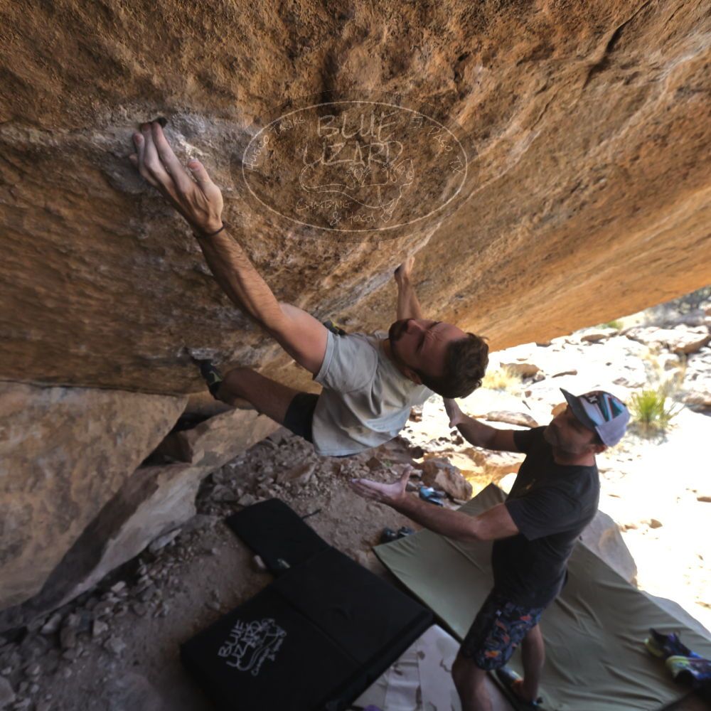 

Filename: SRM_20230306_1241301.jpg
Aperture: f/5.6
Shutter Speed: 1/500
Body: Canon EOS R6
Lens: Canon EF 16-35mm f/2.8 L