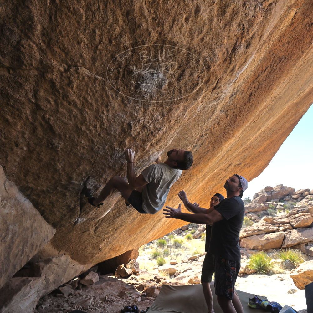 

Filename: SRM_20230306_1255190.jpg
Aperture: f/5.6
Shutter Speed: 1/500
Body: Canon EOS R6
Lens: Canon EF 16-35mm f/2.8 L