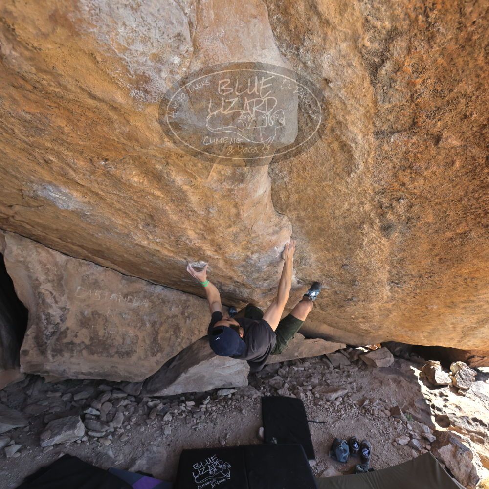 

Filename: SRM_20230306_1257270.jpg
Aperture: f/5.6
Shutter Speed: 1/500
Body: Canon EOS R6
Lens: Canon EF 16-35mm f/2.8 L