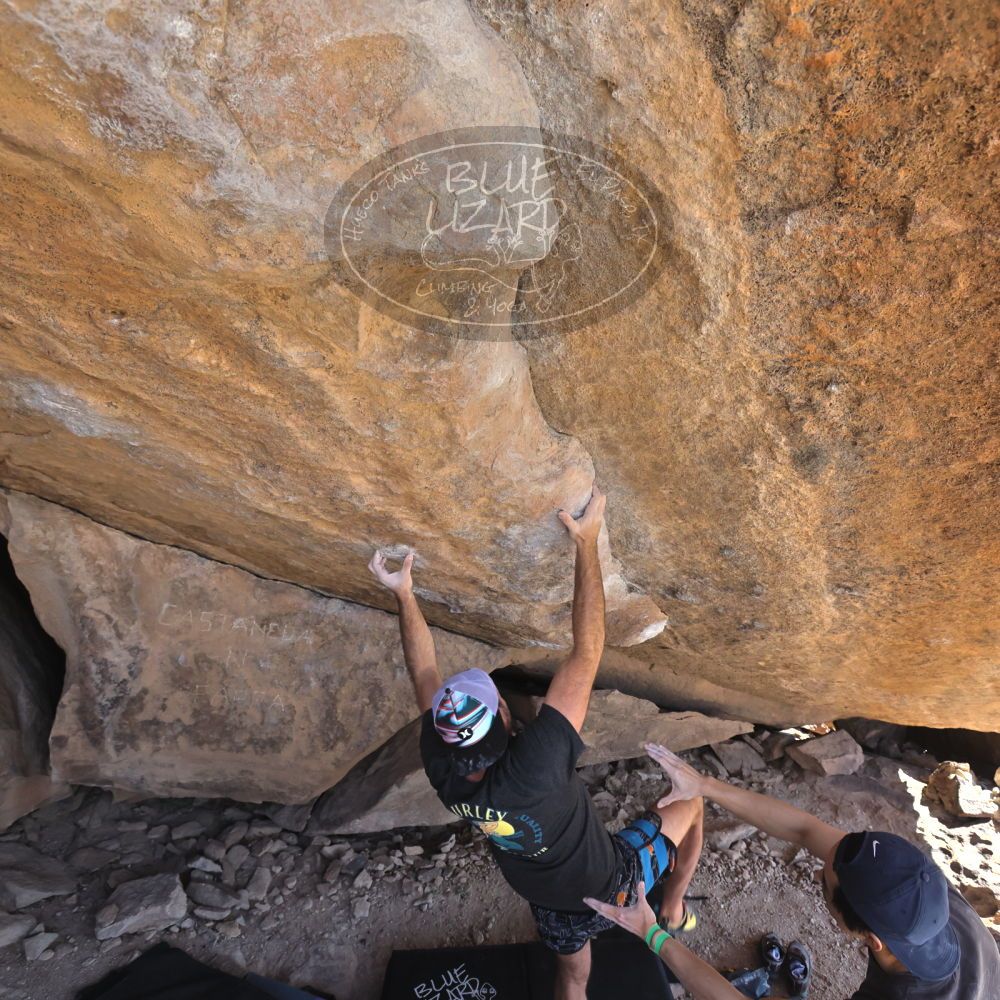 

Filename: SRM_20230306_1305250.jpg
Aperture: f/5.6
Shutter Speed: 1/500
Body: Canon EOS R6
Lens: Canon EF 16-35mm f/2.8 L