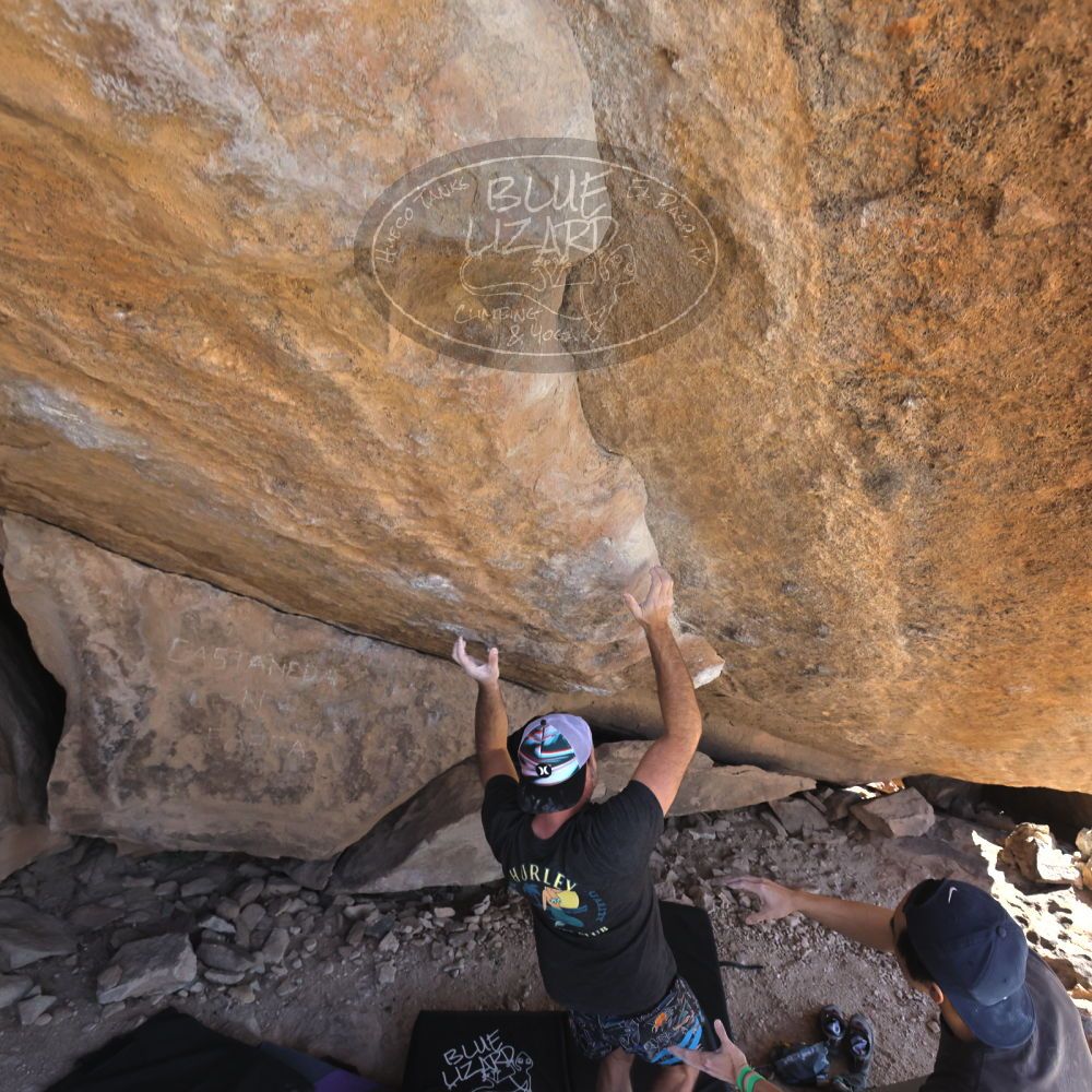 

Filename: SRM_20230306_1305251.jpg
Aperture: f/5.6
Shutter Speed: 1/500
Body: Canon EOS R6
Lens: Canon EF 16-35mm f/2.8 L