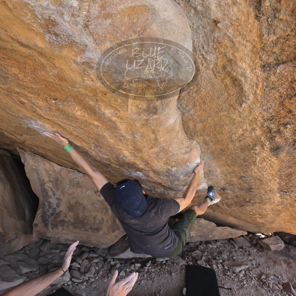 

Filename: SRM_20230306_1306452.jpg
Aperture: f/5.6
Shutter Speed: 1/500
Body: Canon EOS R6
Lens: Canon EF 16-35mm f/2.8 L