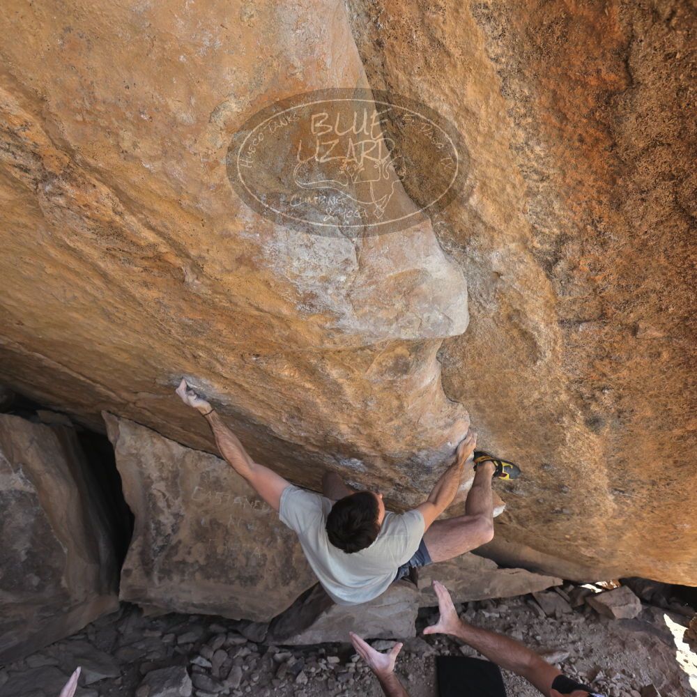 

Filename: SRM_20230306_1313530.jpg
Aperture: f/5.6
Shutter Speed: 1/500
Body: Canon EOS R6
Lens: Canon EF 16-35mm f/2.8 L