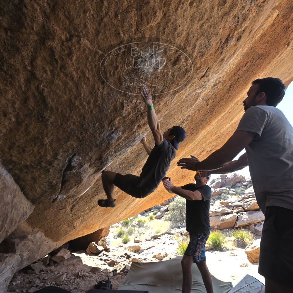 

Filename: SRM_20230306_1341540.jpg
Aperture: f/5.6
Shutter Speed: 1/500
Body: Canon EOS R6
Lens: Canon EF 16-35mm f/2.8 L