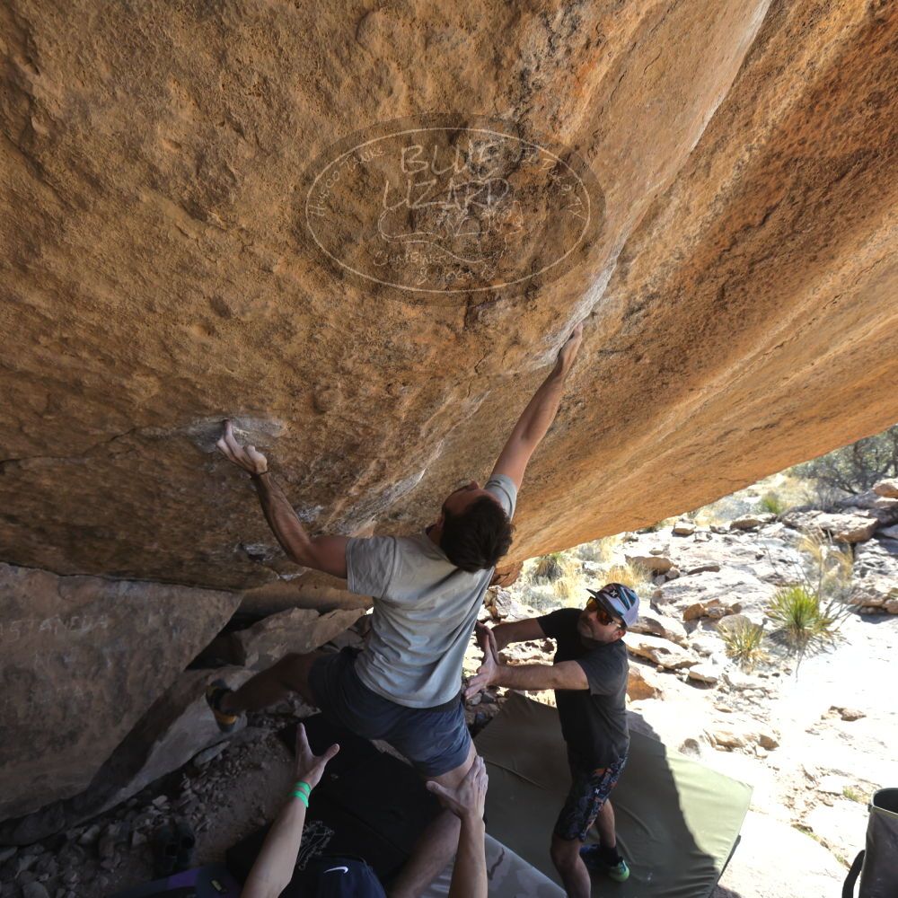 

Filename: SRM_20230306_1347061.jpg
Aperture: f/5.6
Shutter Speed: 1/500
Body: Canon EOS R6
Lens: Canon EF 16-35mm f/2.8 L