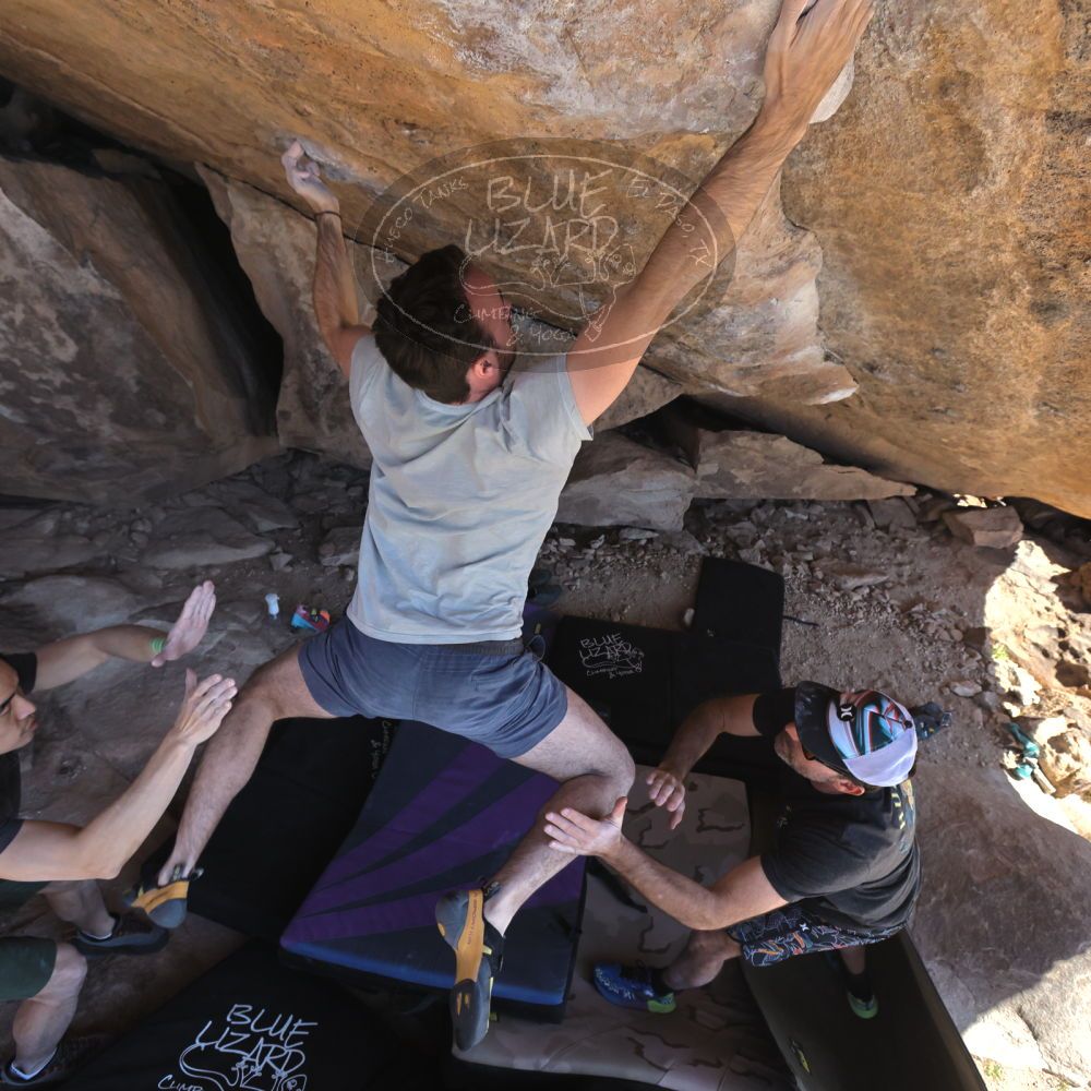 

Filename: SRM_20230306_1355083.jpg
Aperture: f/5.6
Shutter Speed: 1/500
Body: Canon EOS R6
Lens: Canon EF 16-35mm f/2.8 L