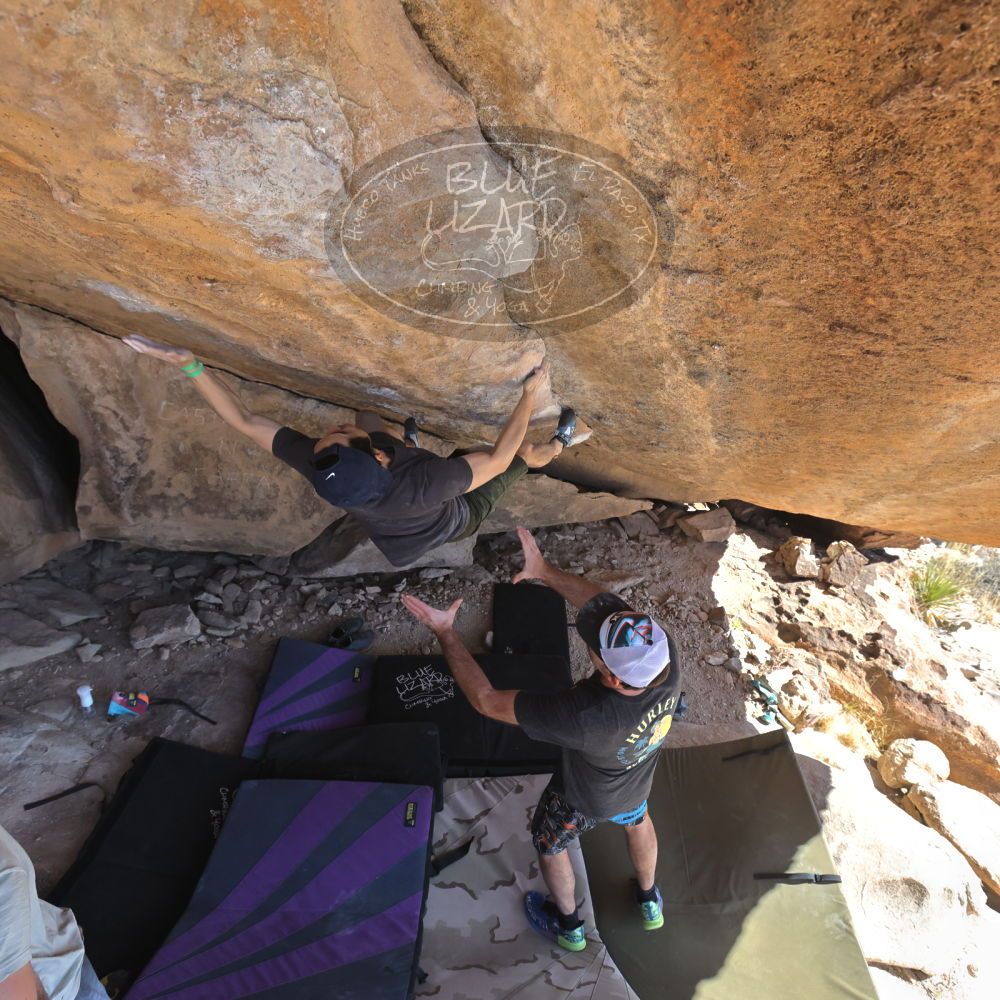 

Filename: SRM_20230306_1404460.jpg
Aperture: f/5.6
Shutter Speed: 1/500
Body: Canon EOS R6
Lens: Canon EF 16-35mm f/2.8 L