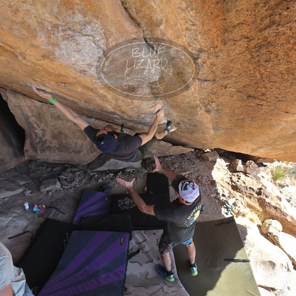 

Filename: SRM_20230306_1404461.jpg
Aperture: f/5.6
Shutter Speed: 1/500
Body: Canon EOS R6
Lens: Canon EF 16-35mm f/2.8 L