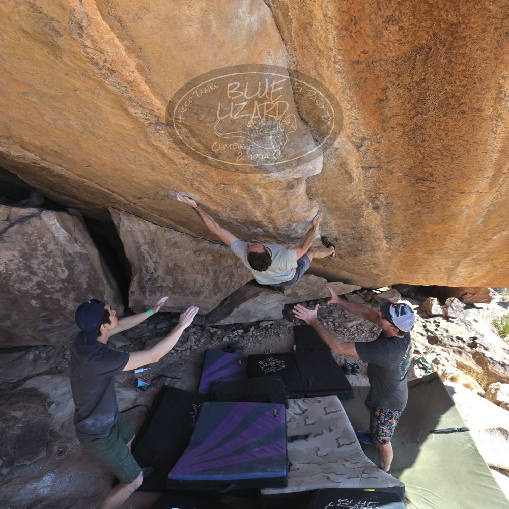 

Filename: SRM_20230306_1409000.jpg
Aperture: f/5.6
Shutter Speed: 1/500
Body: Canon EOS R6
Lens: Canon EF 16-35mm f/2.8 L